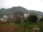PICT0298