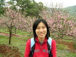 PICT0301