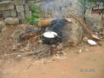 PICT0310