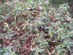 PICT0319
