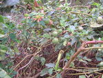 PICT0322