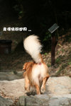 照片 030 copy