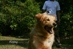IMG 039 copy