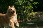IMG 040 copy