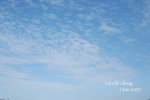 IMG 045 copy