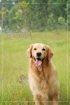 IMG_690311