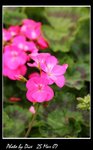 IMG_0879