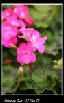 IMG_0880