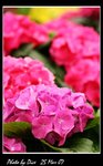 IMG_0885