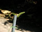 IMG_2414