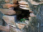 IMG_2419