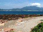 IMG_2454