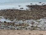 IMG_2463