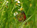 IMG_3628