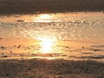 IMG_3765