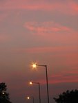 IMG_4102