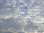 P1060549
