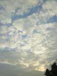P1060552