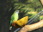 IMG_6560