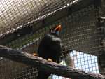 IMG_6589