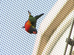 IMG_6886