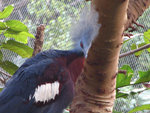 IMG_6976