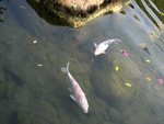 IMG_7019