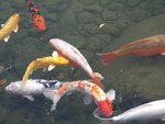 IMG_7026