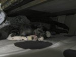IMG_7066