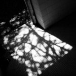 _MG_1765