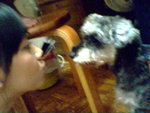 IMG0493A
