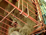 IMG0604A