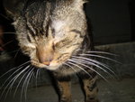 DSC00589