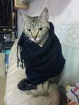 DSC00032