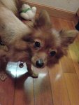 DSC00008