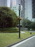 照片 163