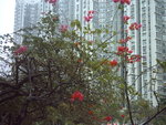 照片 170