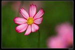 IMG_5250ab15