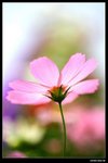 IMG_5264ab15