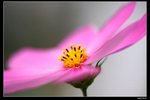 IMG_5271ab15