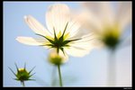 IMG_5275ab15