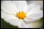 IMG_5278ab15