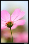 IMG_5282ab15