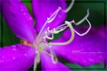 IMG_6403ab