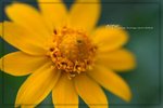 IMG_6442ab
