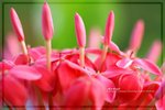 IMG_6470ab