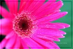 IMG_6495ab