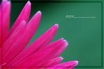 IMG_6498ab