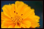 IMG_6660ab