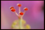 IMG_6691ab